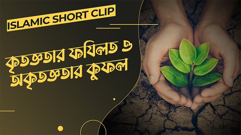 Kritoggota o Okritoggota - কৃতজ্ঞতার ফযিলত ও অকৃতজ্ঞতার কুফল
